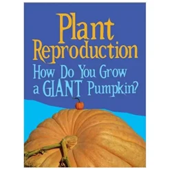 Hot Accelerated Reader Non Fiction Books Book Packs|Book & Reading