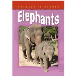 Hot Accelerated Reader Non Fiction Books Book Packs|Book & Reading