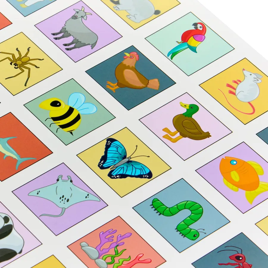 Online A3 Chatterboard Pro Oracy Insert Spelling, Punctuation & Grammar|Recording & Assessment