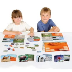 Best Animal Habitats Sorting Game Animals & Minibeasts