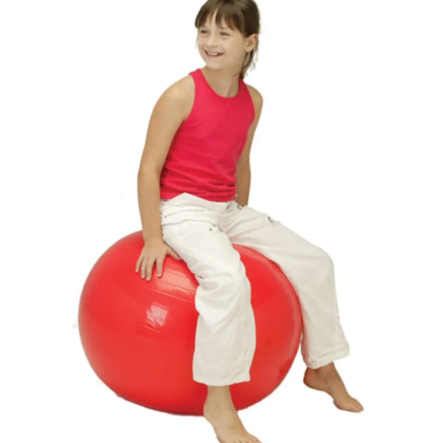 Balance Fitness Ball Gross & Fine Motor Skills|Outdoor Physical Development