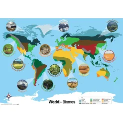 Hot Biomes Curriculum Pack Maps & Compasses|Physical & Human Geography