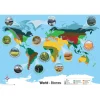 Biomes World Map A1 Maps & Compasses|Physical & Human Geography