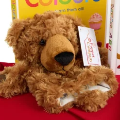 Online Brown Bear, Brown Bear Vocabulary Bag Puppets & Theatres|Oracy