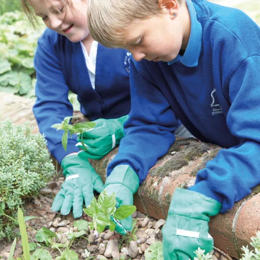 Discount Child Size Gardening Gloves Science|Plants & Growing
