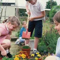 Clearance Child Size Gardening Tools Set 6pcs Science|Plants & Growing