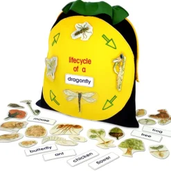 Hot Class Life Cycle Bag Science|Animals & Minibeasts