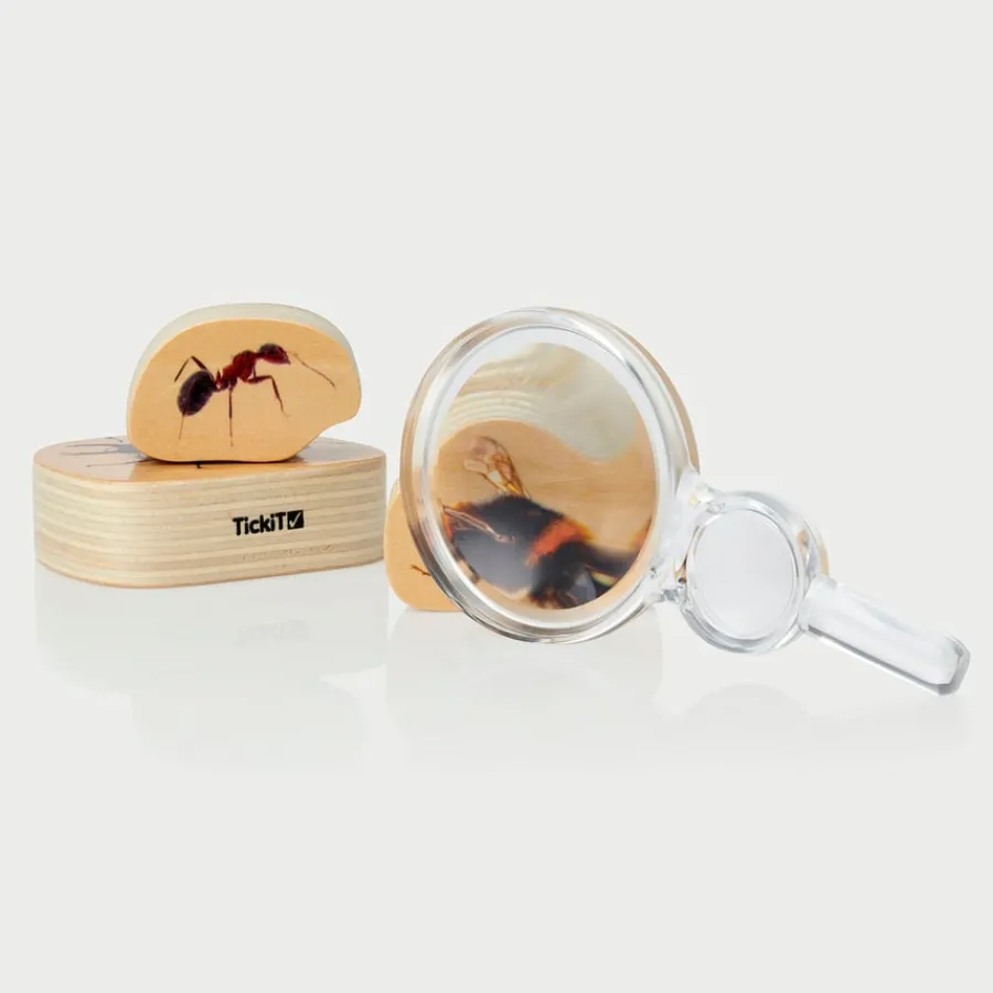 Clearance Class Pack of Magnifiers 35pk Science|Habitats And Observation