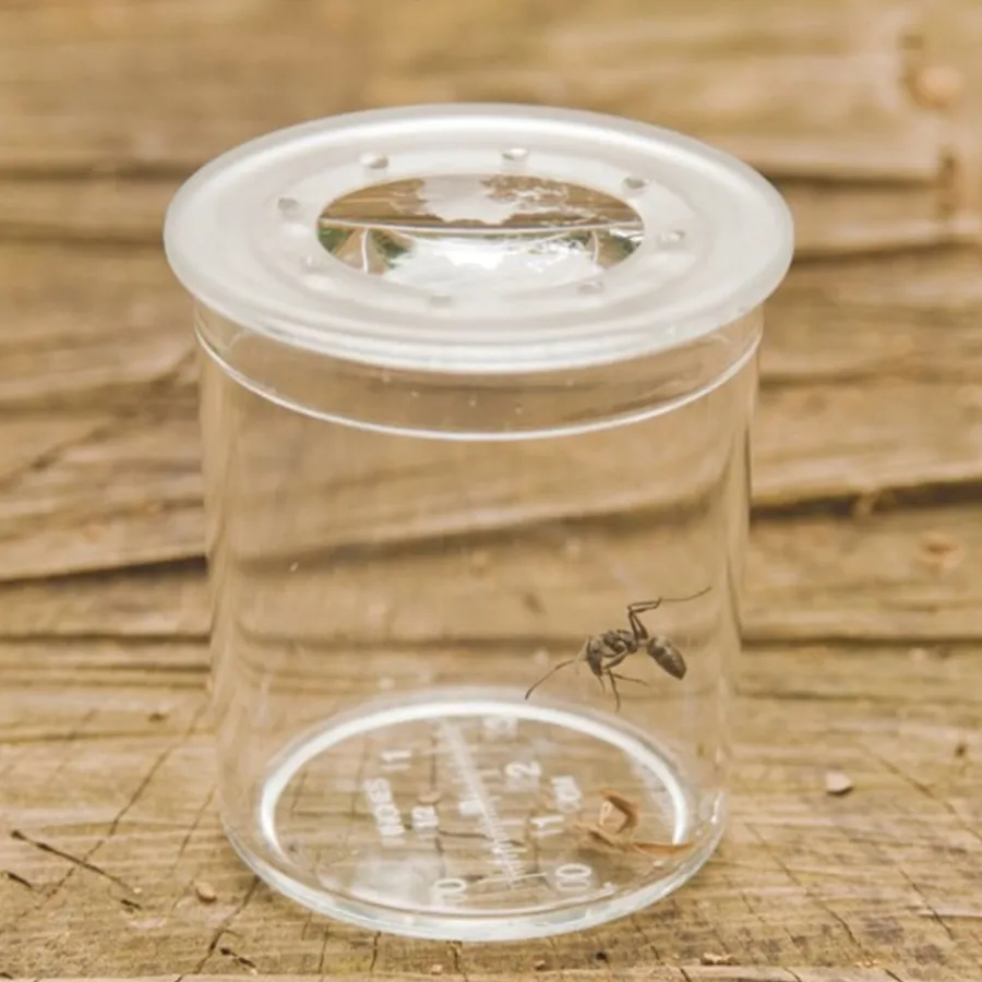Clearance Class Pack of Magnifiers 35pk Science|Habitats And Observation