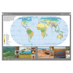 Discount Collins Junior World Atlases KS2 Atlases|Fieldwork