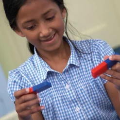 Online Colour Coded Magnets Forces & Motion|Magnetism