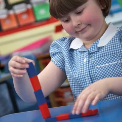 Online Colour Coded Magnets Forces & Motion|Magnetism