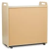 3 Column Tray Storage inc 15 Deep Translucent Trays Boxes & Containers