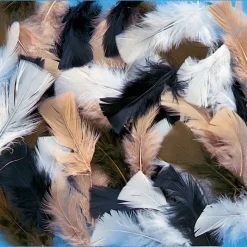 Discount Craft Feathers 14g Festivals & Celebrations|Collage & Craft