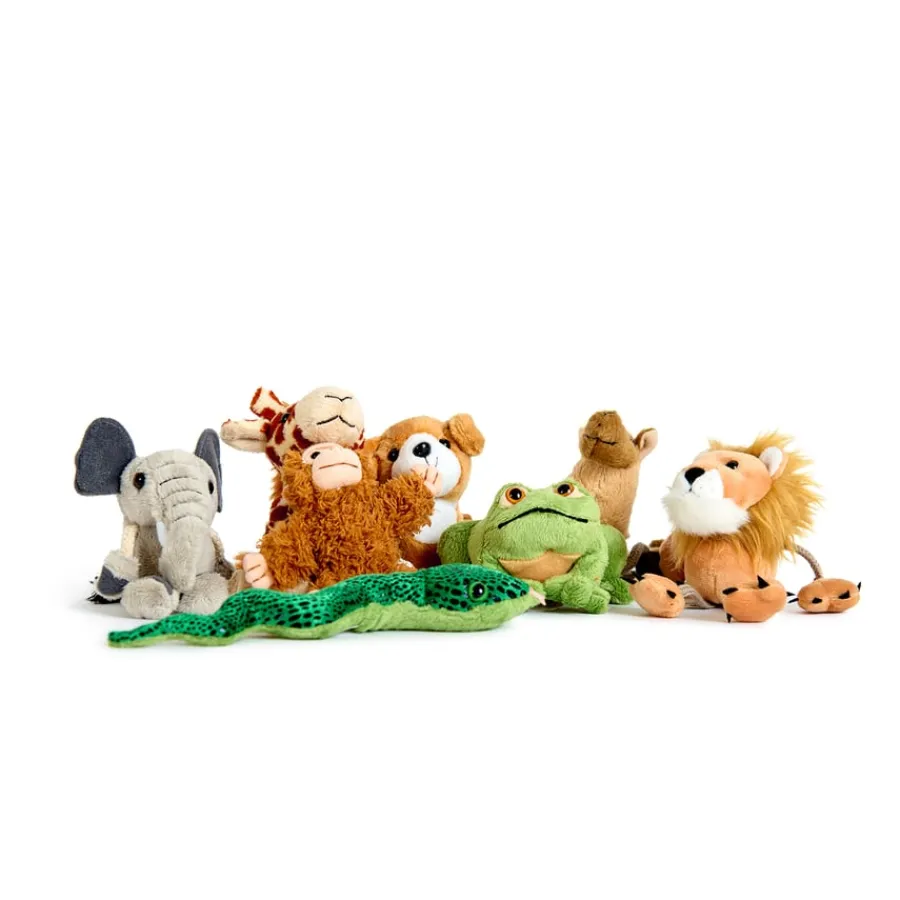 Dear Zoo Vocabulary Bag Classroom Collections|Book & Reading