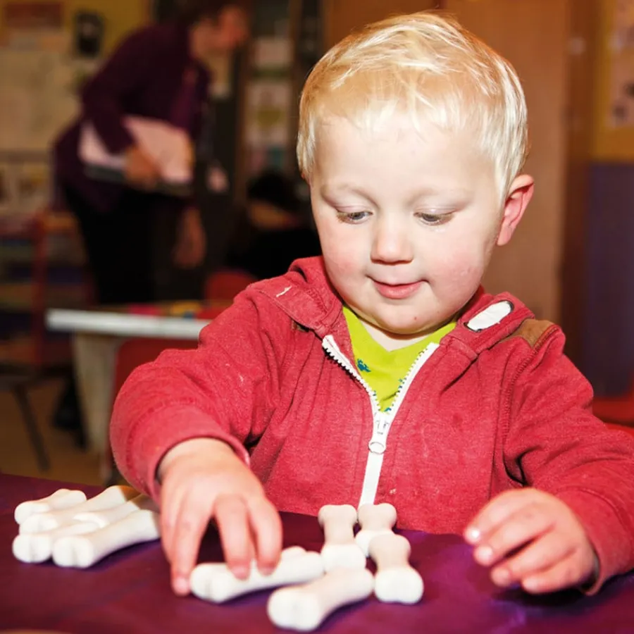 Outlet Discovery Dinosaur Bones Rocks & Fossils|Explorers