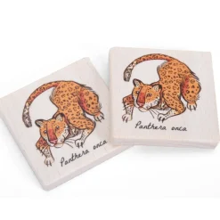 Endangered Animals Memo Set Patterns, Sequencing & Matching|Sorting & Classification