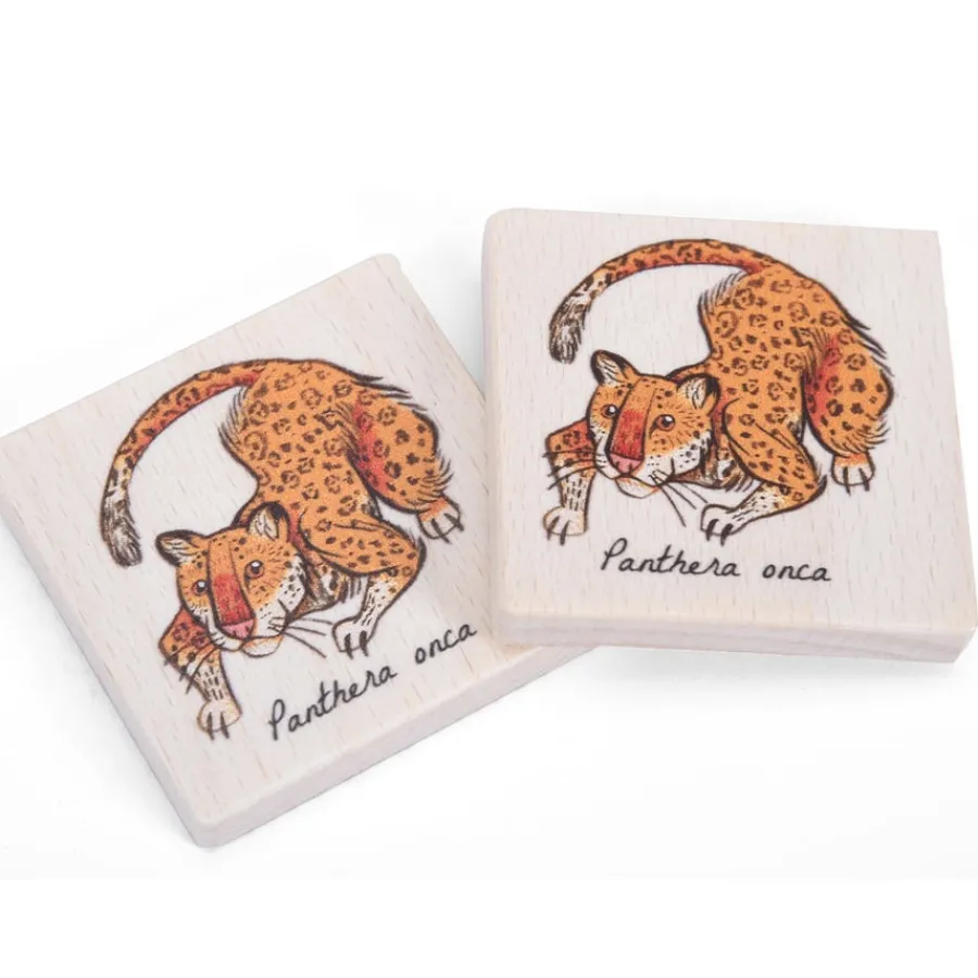 Endangered Animals Memo Set Patterns, Sequencing & Matching|Sorting & Classification