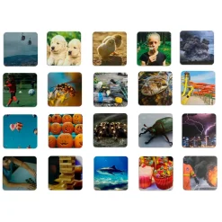 Best Feelings and Emotions Sorting Bags Psed