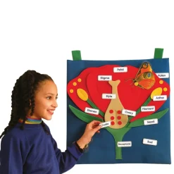 Online Flower Wall Hanging Plants & Growing