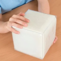Foam Dice with Pockets English As An Additional Language|Topics