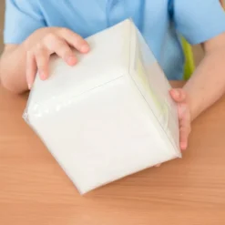 Foam Dice with Pockets English As An Additional Language|Topics