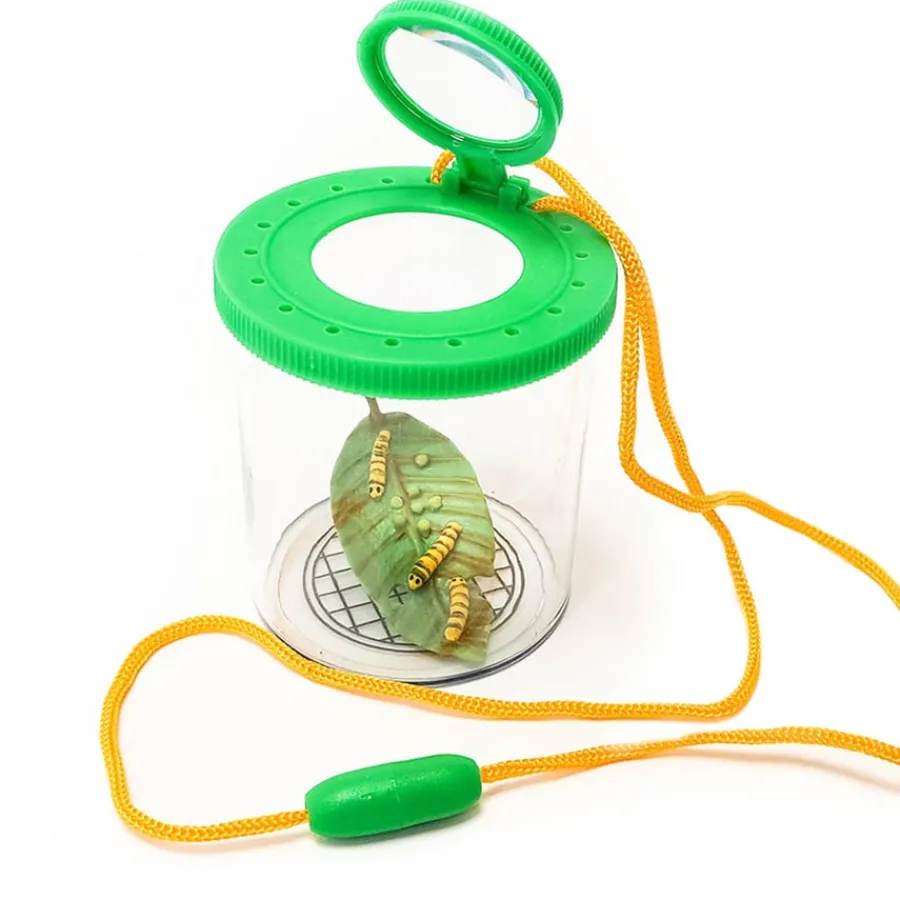 Hot Forest Schools Starter Pack Animals & Minibeasts|Habitats And Observation