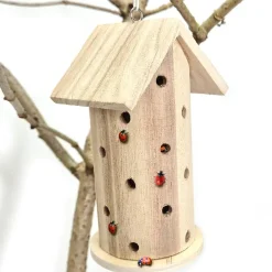 New Forest School - Urban Schools Kit Animals & Minibeasts|Habitats And Observation