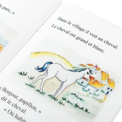 Clearance French Reading Book Pack 10pk French|French