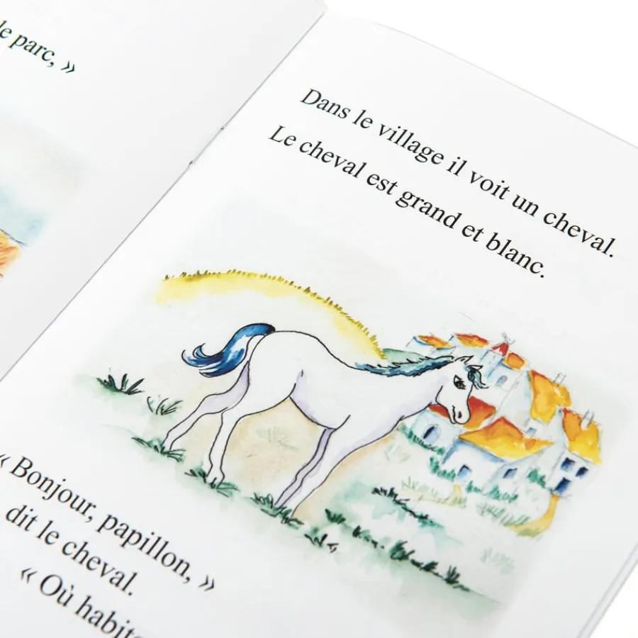 Clearance French Reading Book Pack 10pk French|French