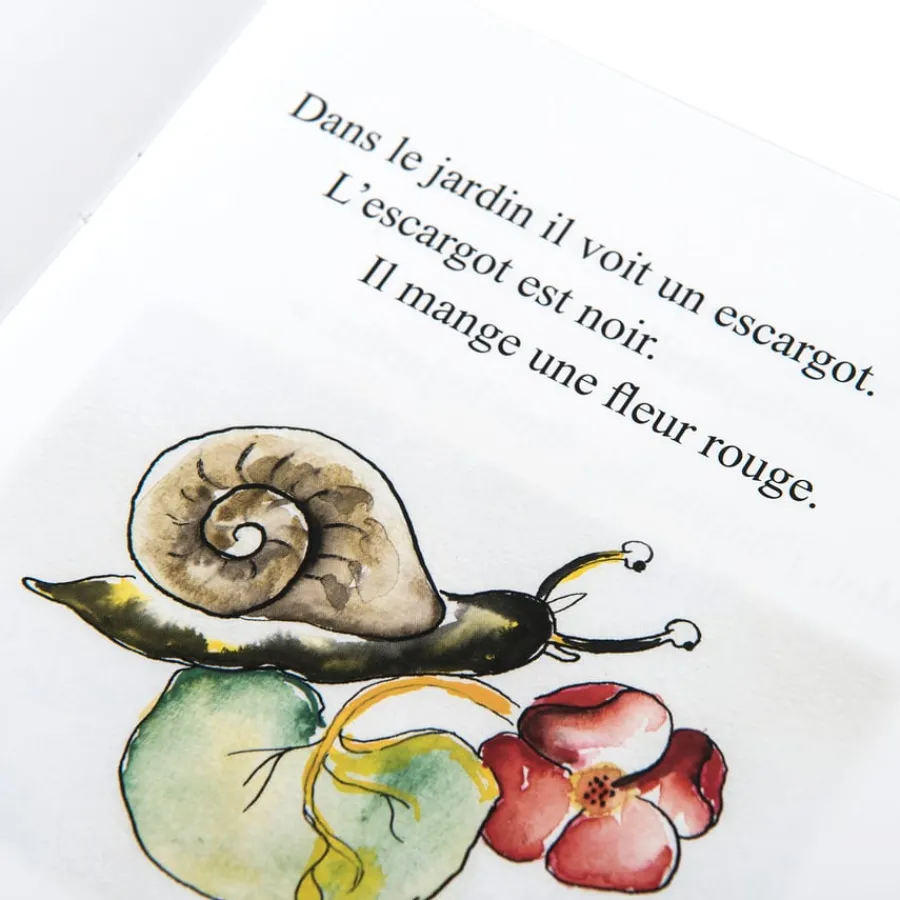 Clearance French Reading Book Pack 10pk French|French