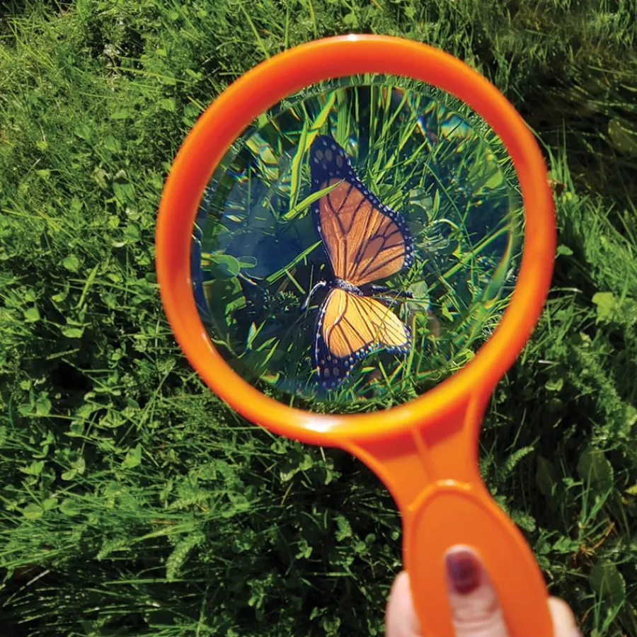 Best Giant Magnifying Kit Science|Class Kits