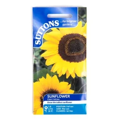 New Giant Sunflower Seeds Composting, Soil, Seeds And Potting|Plants & Growing