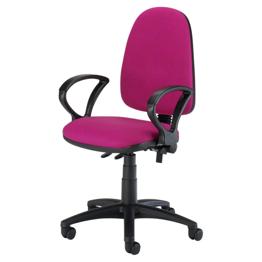 High Back Task Chair with Fixed Arms Chairs