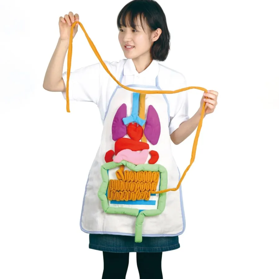 Discount Human Anatomy Apron Human Body