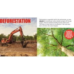 Discount KS1 and KS2 Environmental Issues Books 17pk Geography Books|Non-Fiction Books