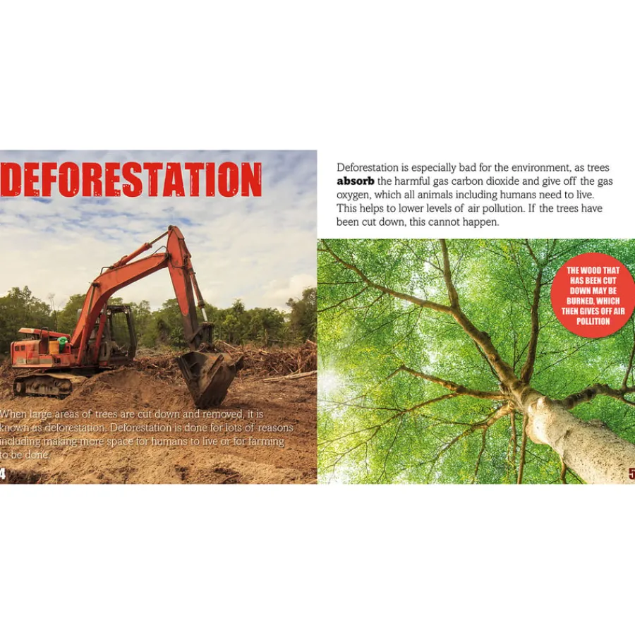 Discount KS1 and KS2 Environmental Issues Books 17pk Geography Books|Non-Fiction Books