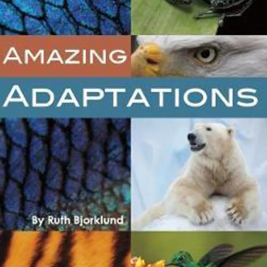 Sale KS2 Evolution and Adaptation Book Pack - 10pk Animals & Minibeasts|Classroom Collections