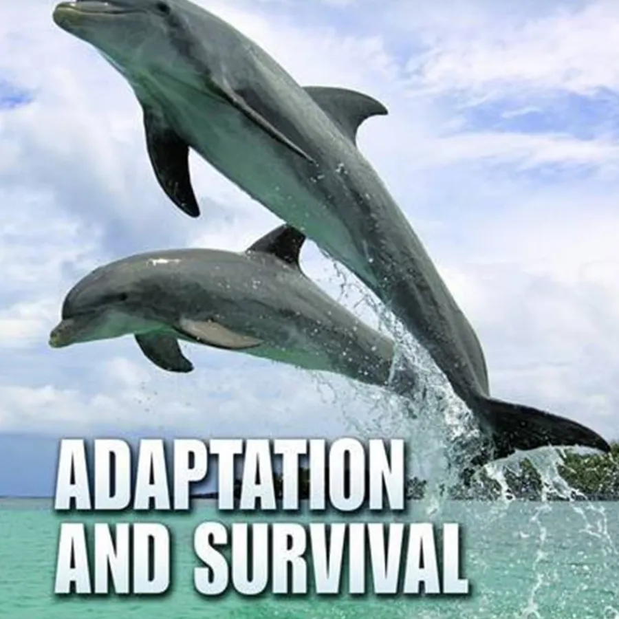 Sale KS2 Evolution and Adaptation Book Pack - 10pk Animals & Minibeasts|Classroom Collections