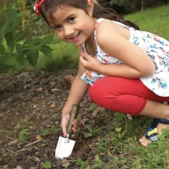 KS2 Gardening Tools Tools And Equipment|Plants & Growing