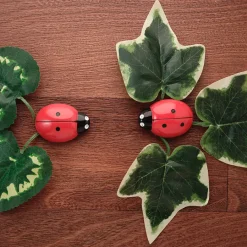 Discount Ladybugs Counting Stones 22pk Counting & Counters