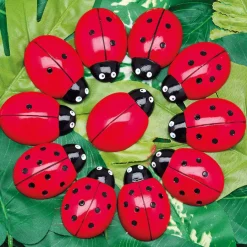 Discount Ladybugs Counting Stones 22pk Counting & Counters