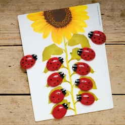Discount Ladybugs Counting Stones 22pk Counting & Counters