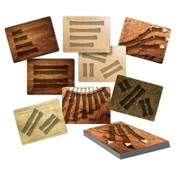 Discount Large Dinosaur Bones Match and Measure Bones Set Rocks & Fossils|Games