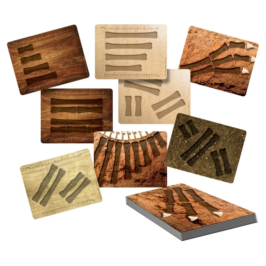 Discount Large Dinosaur Bones Match and Measure Bones Set Rocks & Fossils|Games