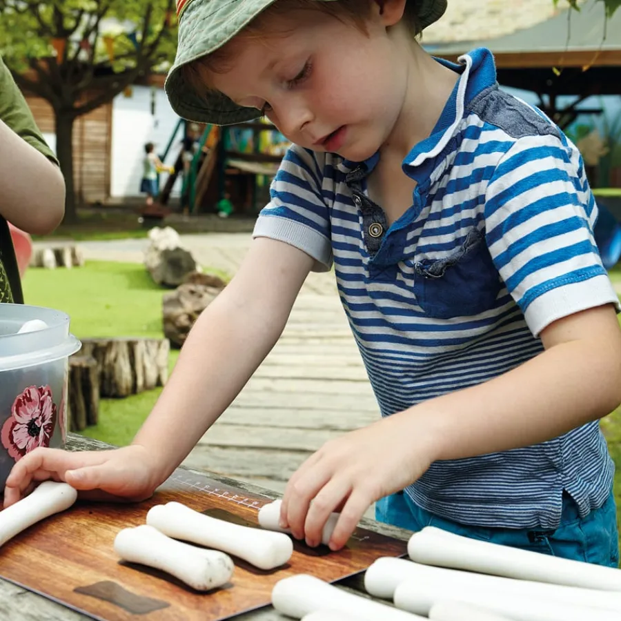 Discount Large Dinosaur Bones Match and Measure Bones Set Rocks & Fossils|Games