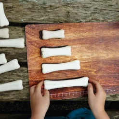 Discount Large Dinosaur Bones Match and Measure Bones Set Rocks & Fossils|Games