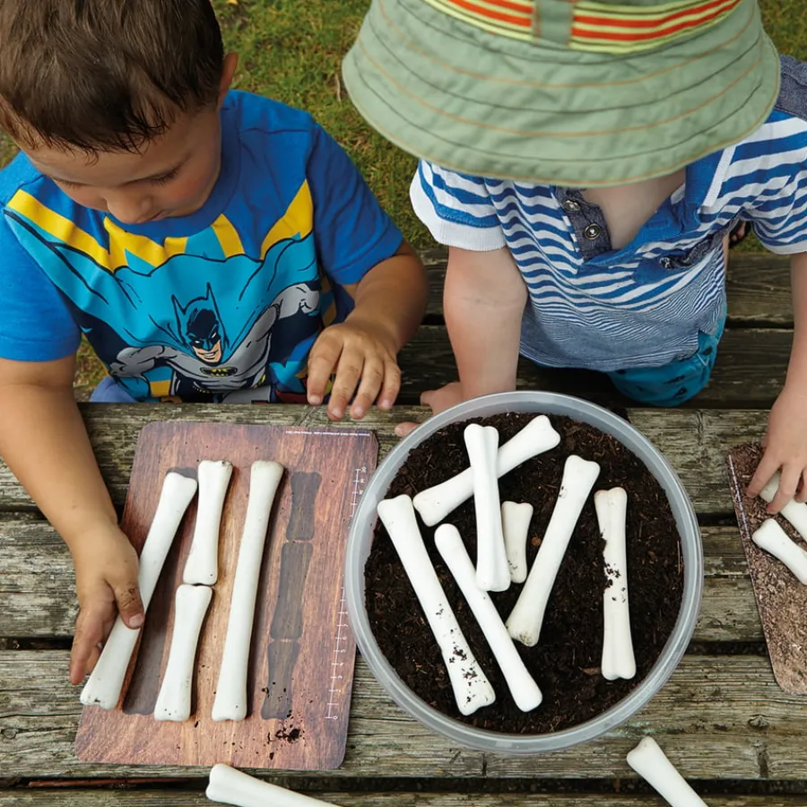 Discount Large Dinosaur Bones Match and Measure Bones Set Rocks & Fossils|Games