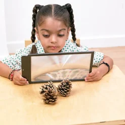 Sale Large Sheet Magnifier Frame Science|Animals & Minibeasts