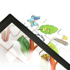 Sale Large Sheet Magnifier Frame Science|Animals & Minibeasts